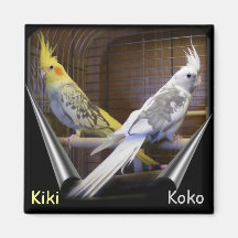Customisable Bird magnets