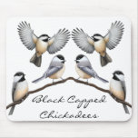 Customisable Black Capped Chickadees Mousepad
