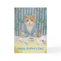 Customisable Cute/Funny Cat