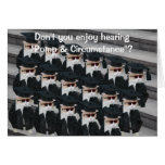 Customisable Cute/Funny Cat Graduation Greeting Cards