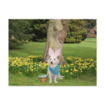 Customisable Easter Egg Hunt postcards