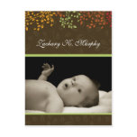 Customisable Fall  Birth Announcement Template
