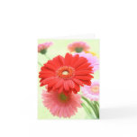 Customisable Gerber Daisies Card