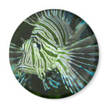 Customisable green_fish_magnets