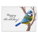 Customisable Happy Birthday Bird Card