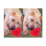 Customisable Happy Valentine's Day Chinese SharPei Post Cards