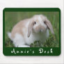 Customisable Holland Lop Bunny