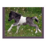 Customisable Horse Postcard #3