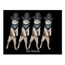 Customisable Line Dancing Cat Postcards