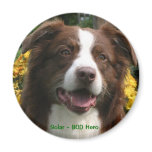 Customisable Magnet