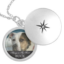 Customisable Pet Memorial Photo Keepsake Necklace