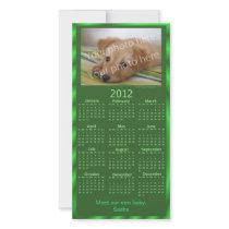 Customisable Photo Card 2012 Calendar (Green)