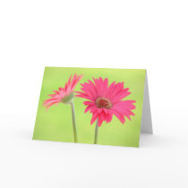 Customisable Pink Gerber Daisies on Green Greeting Cards