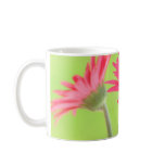 Customisable Pink Gerber Daisies on Green Mug