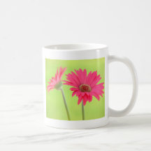 Customisable Pink Gerber Daisies on Green Coffee Mugs