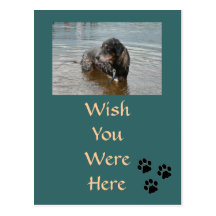 Customisable Postcard