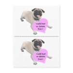 Customisable Pug Valentine Day Post Card