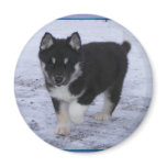 Customisable Puppy Magnet #6