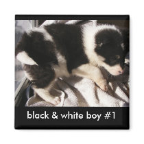 Customisable Puppy Magnets