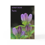 customisable purple bottle gentian greeting card