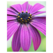 Customisable Purple Daisy