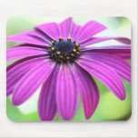 Customisable Purple Daisy mousepads