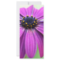 Customisable Purple Daisy