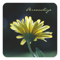 Customisable Sunlit Yellow Daisy Beautiful Flowers
