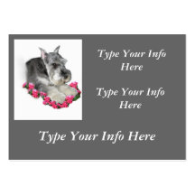 Customised Miniature Schnauzer Profile Cards Business Card Templates