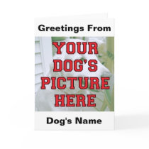 Customised Your Dog's Photo