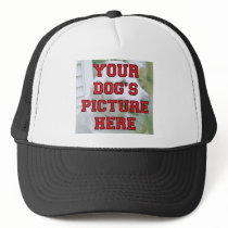 Customised Your Dog's Photo