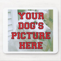 Customised Your Dog's Photo