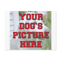 Customised Your Dog's Photo