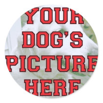 Customised Your Dog's Photo