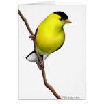 Customizable American Goldfinch Wild Bird Card