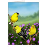 Customizable American Goldfinches in Thistles Card