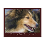 Customizable Collie Postcards
