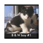 Customizable Puppy Magnets