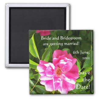 Customizable 'Save the Date' Magnet, Pink Roses