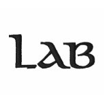 CUSTOMIZE IT! LAB T SHIRT LEFT SLEEVE EMBROIDERY embroidered shirts