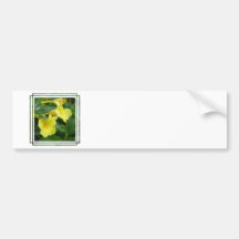 Customize Product Bumper Sticker