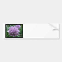 Customize Product Bumper Sticker