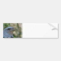 Customize Product Bumper Sticker