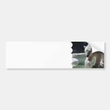 Customize Product Bumper Stickers