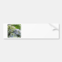 Customize Product Bumper Stickers