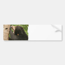 Customize Product Bumper Stickers