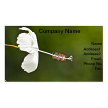 Customize Product Business Cards
