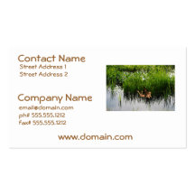 Customize Product Business Cards