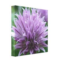 Customize Product Canvas Prints