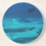 Customize Product Coaster